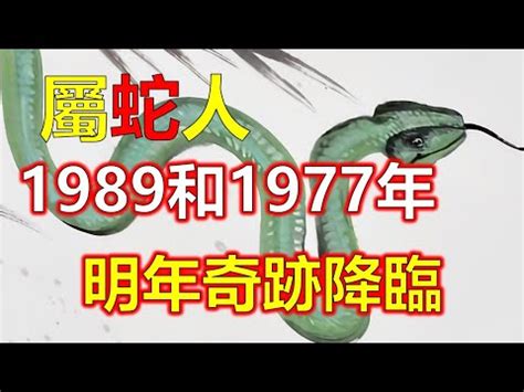 1989 五行|1989年属蛇的是什么命，89年出生的蛇五行属什么